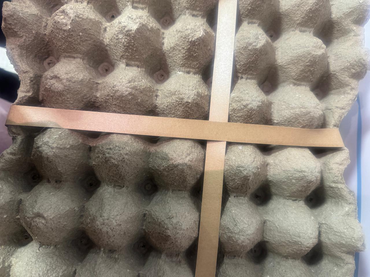 Zuncho Papel - Imagen 2